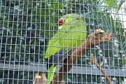 P1190741