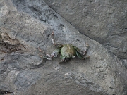 DSCF0464