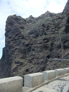DSCF0484