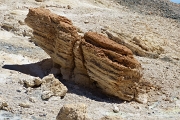 P1210037