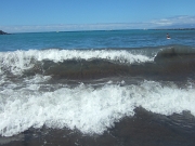 DSCF0165