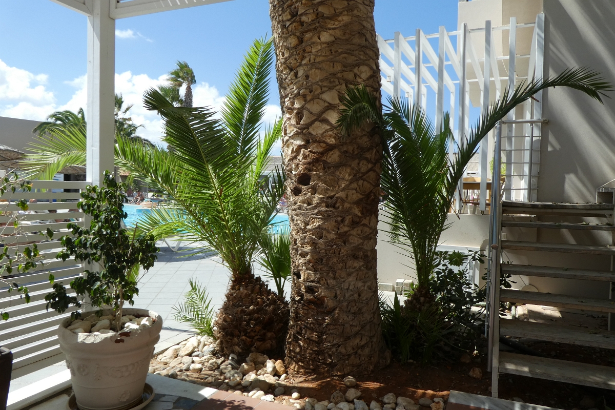 P1020418.JPG