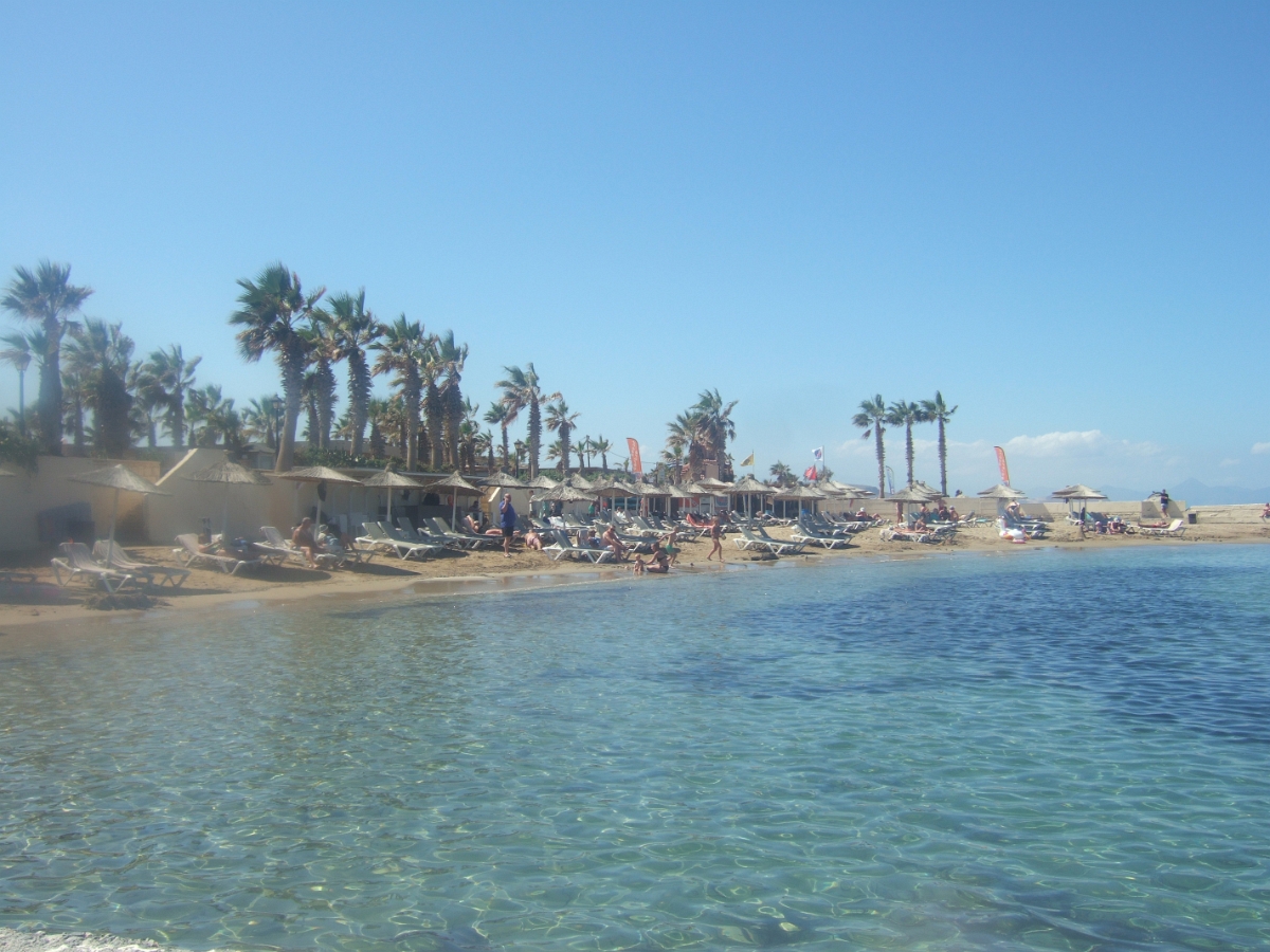 DSCF5646.JPG