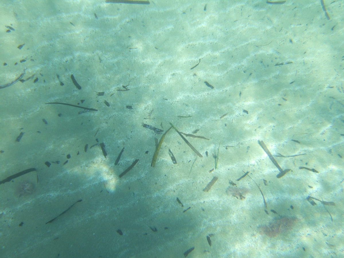 DSCF5652.JPG