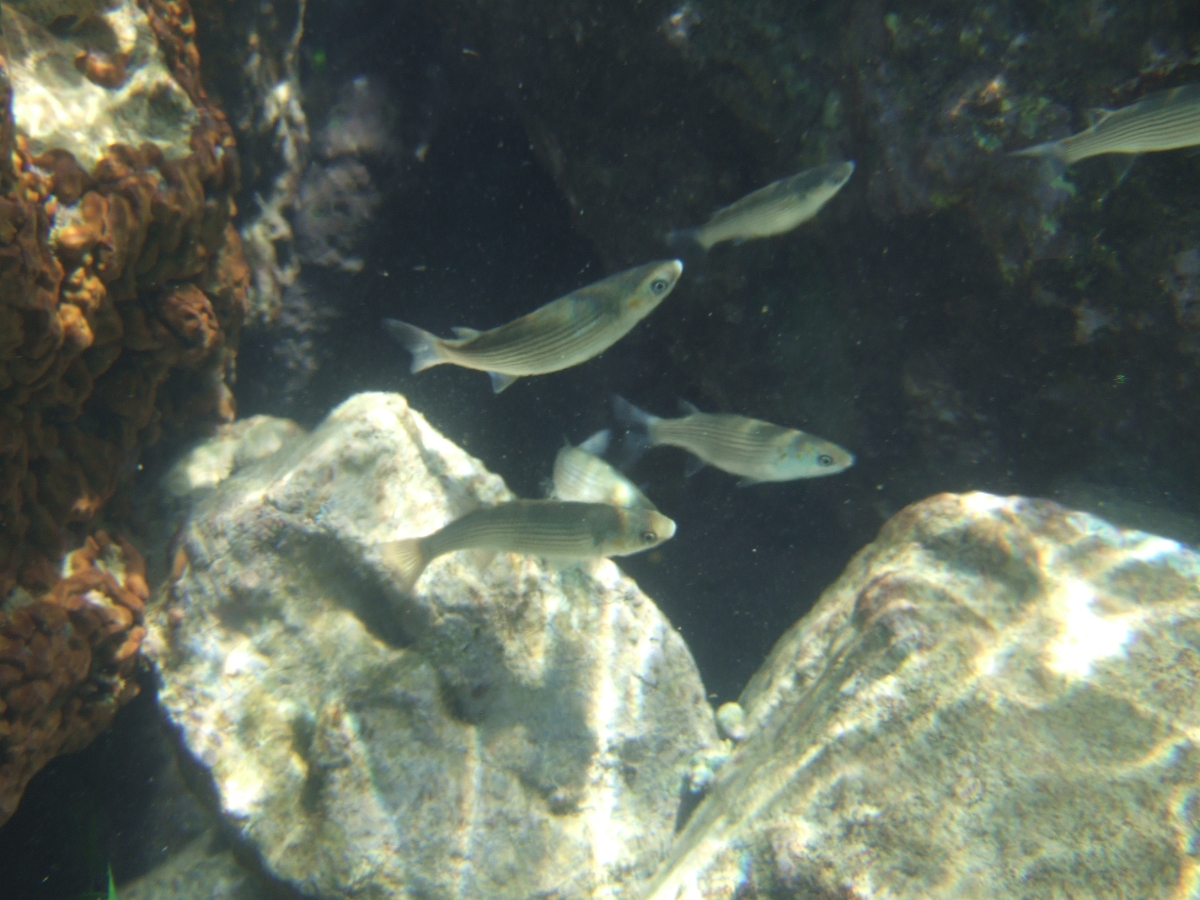 DSCF5657.JPG