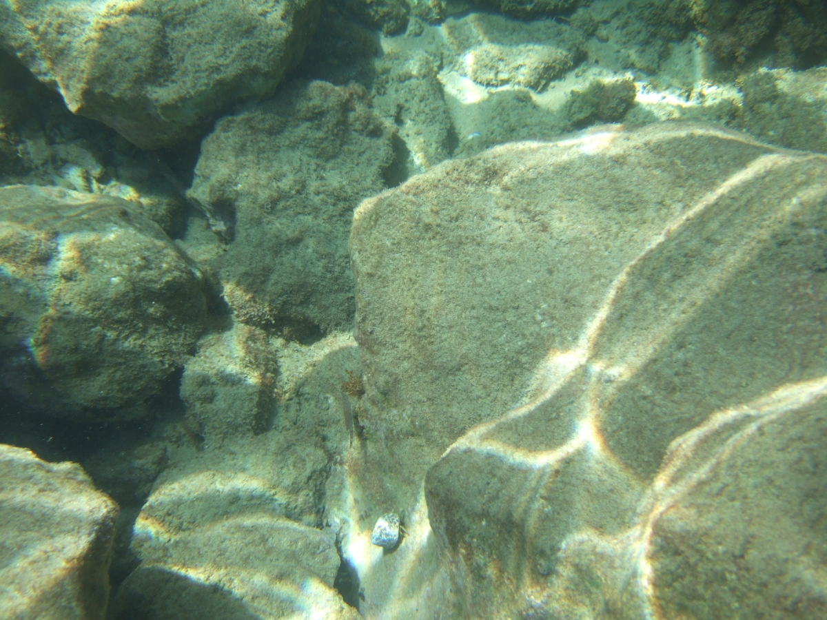 DSCF5672.JPG
