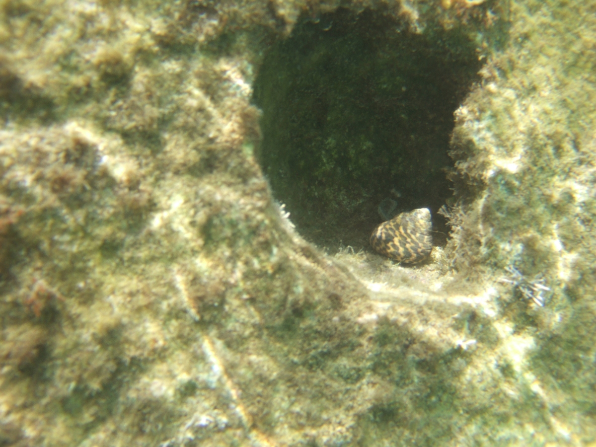 DSCF5708.JPG