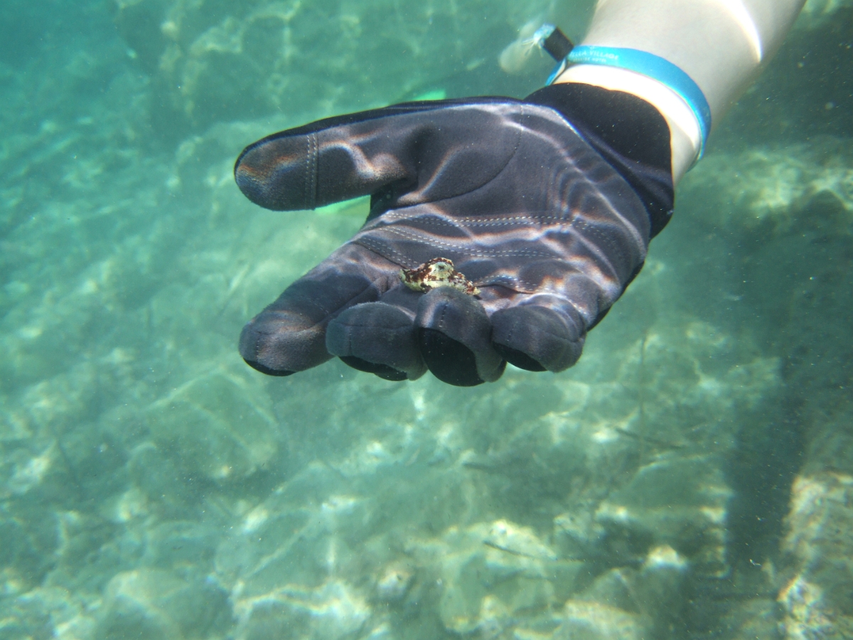 DSCF5789.JPG