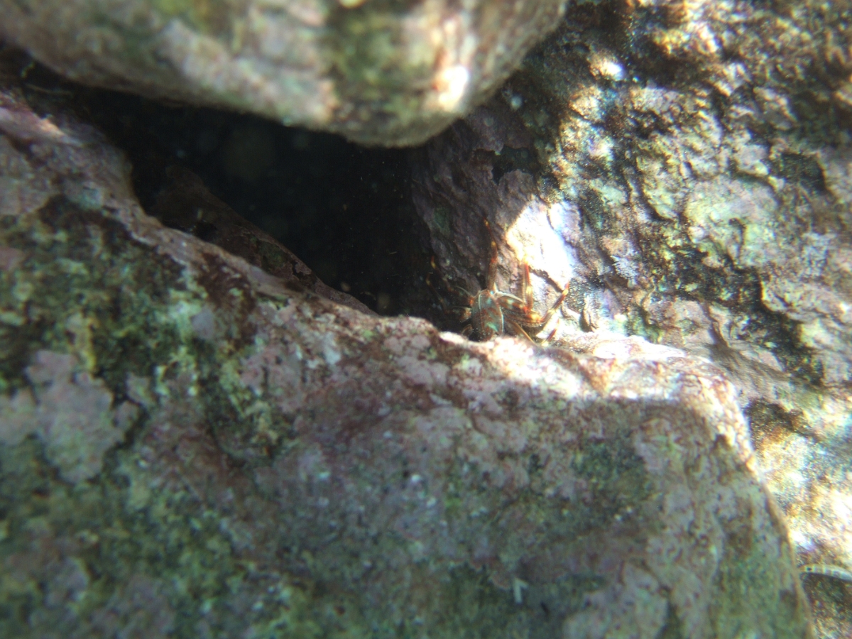 DSCF5793.JPG