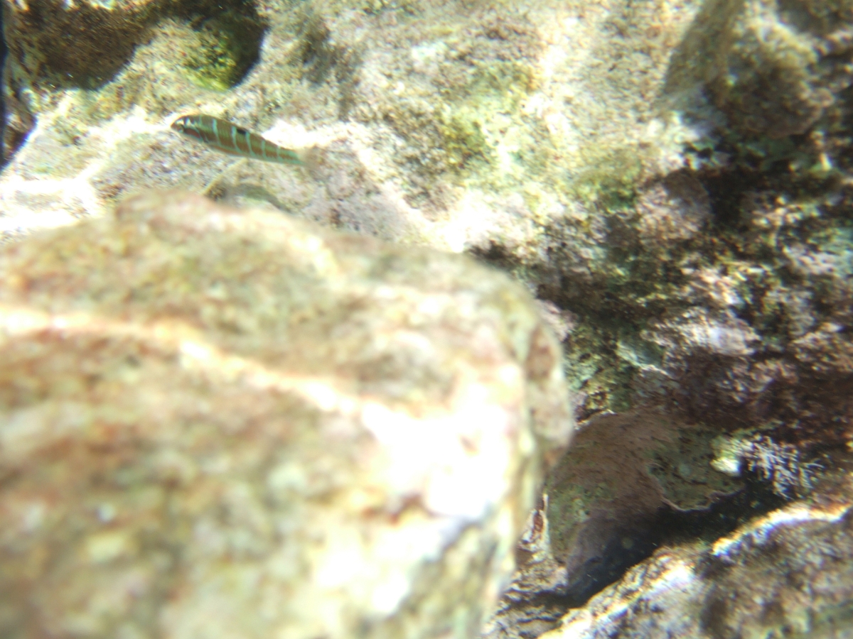 DSCF5796.JPG