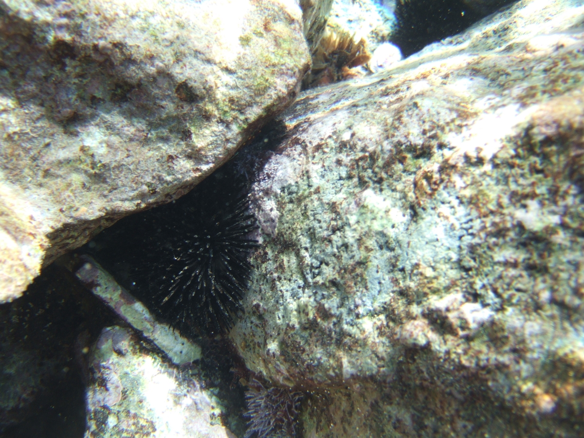 DSCF5803.JPG