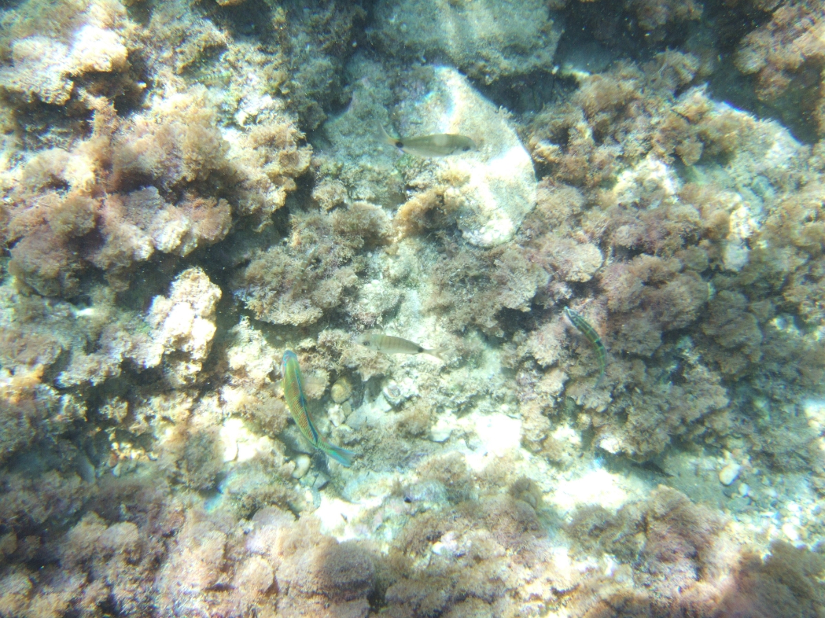 DSCF5806.JPG