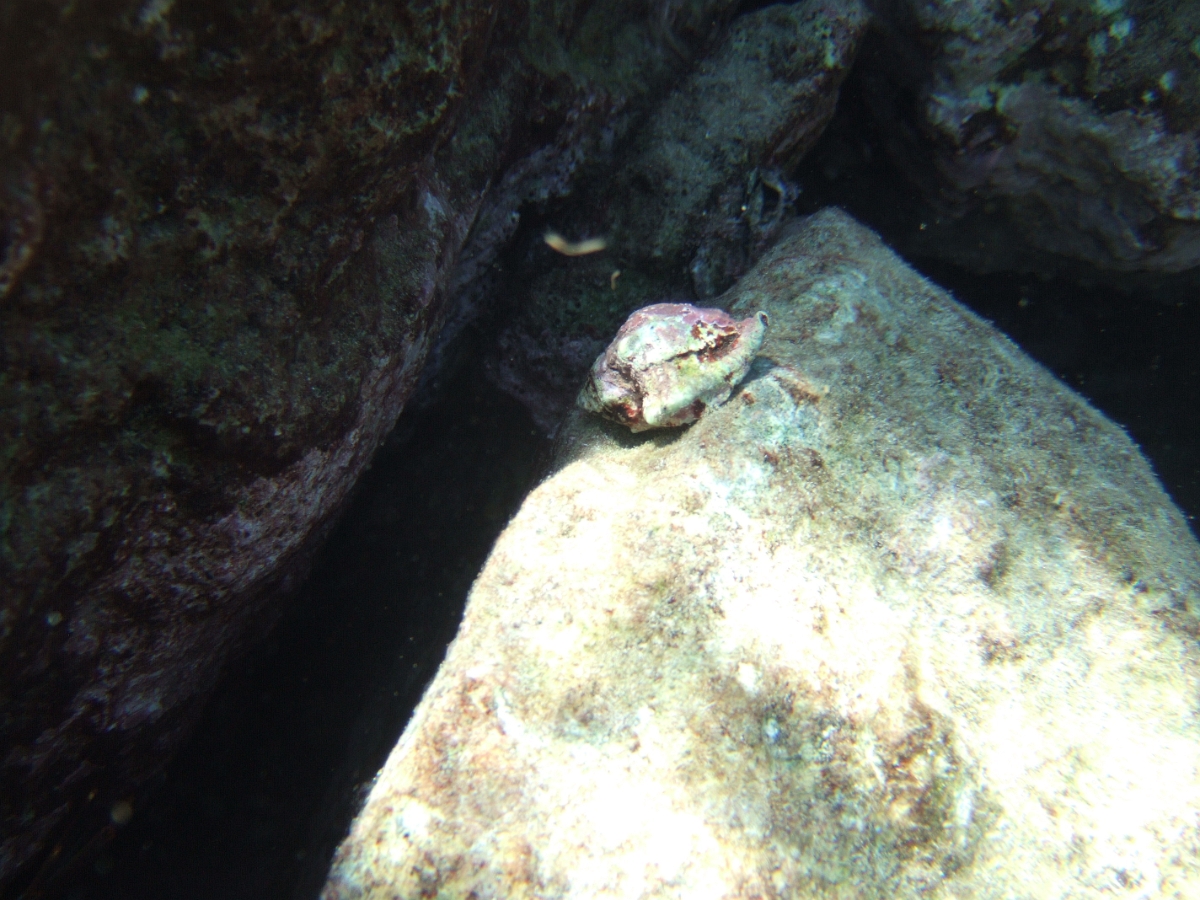 DSCF5807.JPG