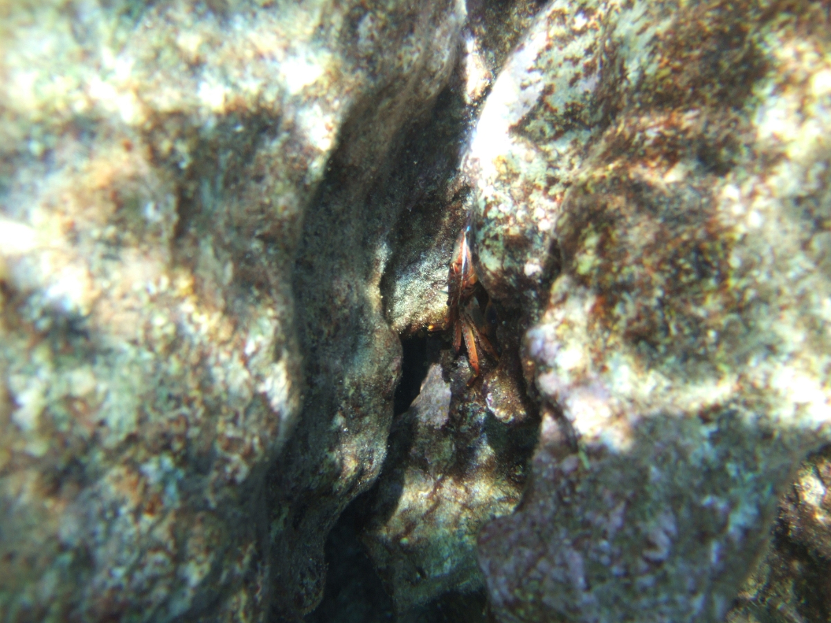 DSCF5808.JPG