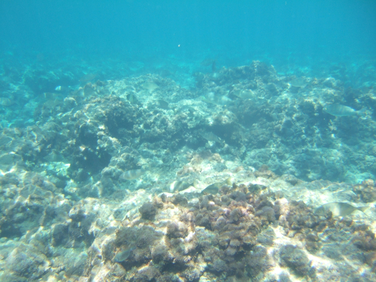 DSCF5812.JPG