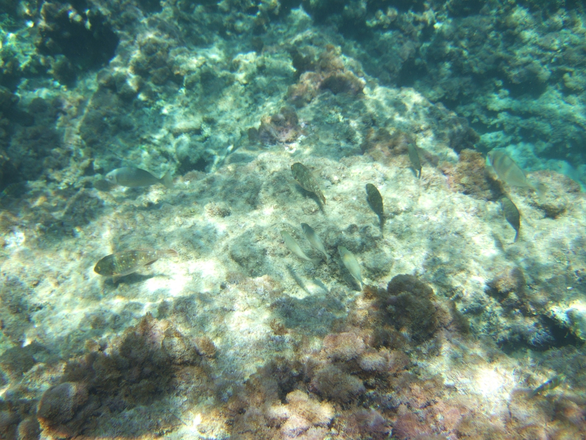 DSCF5813.JPG