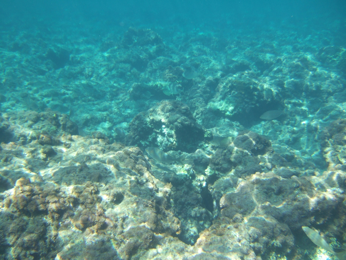DSCF5814.JPG
