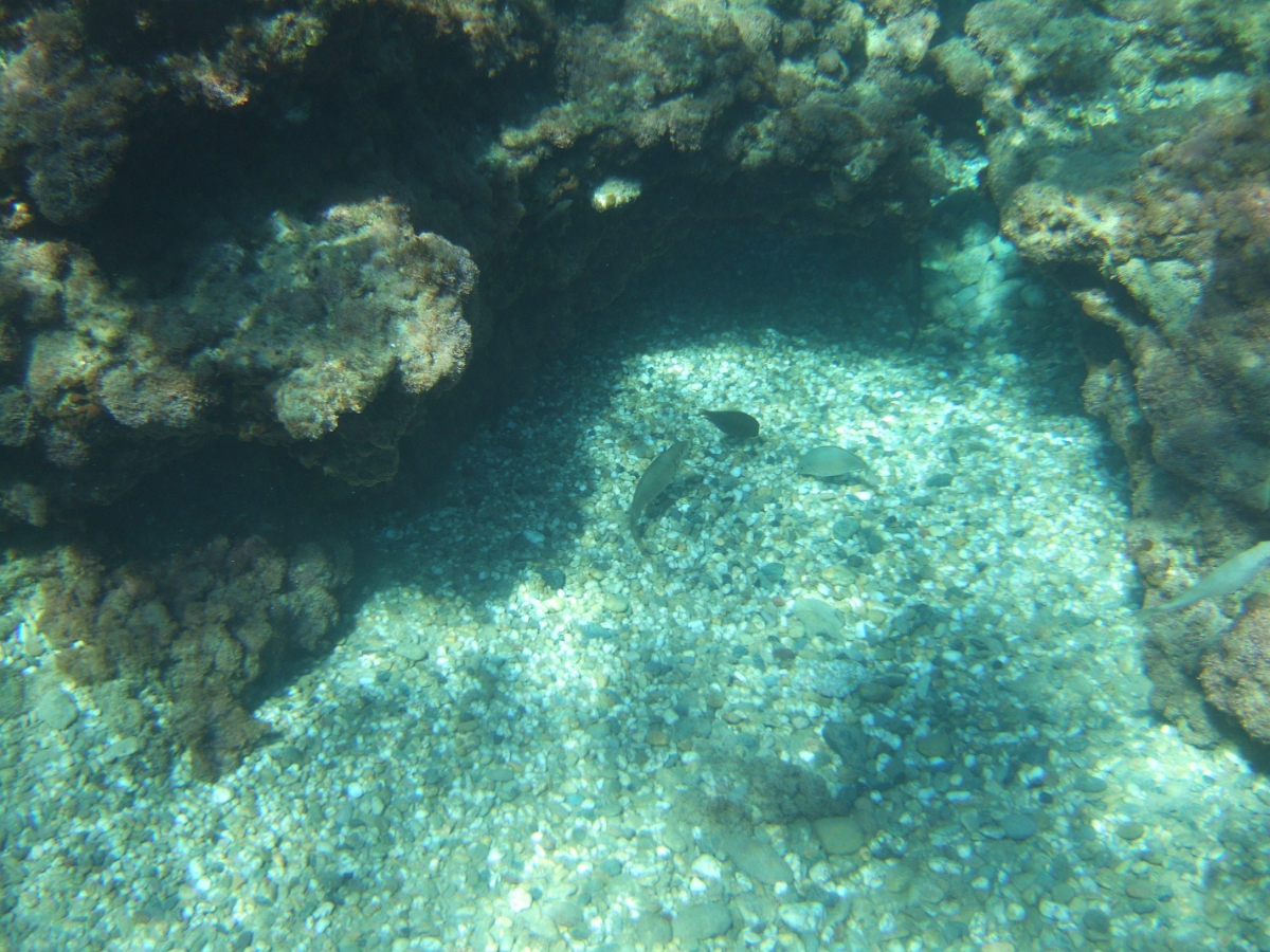 DSCF5816.JPG