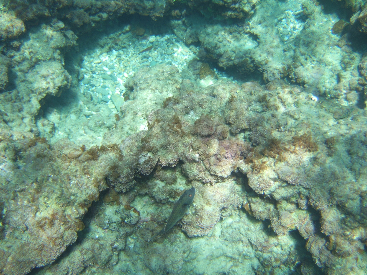 DSCF5817.JPG