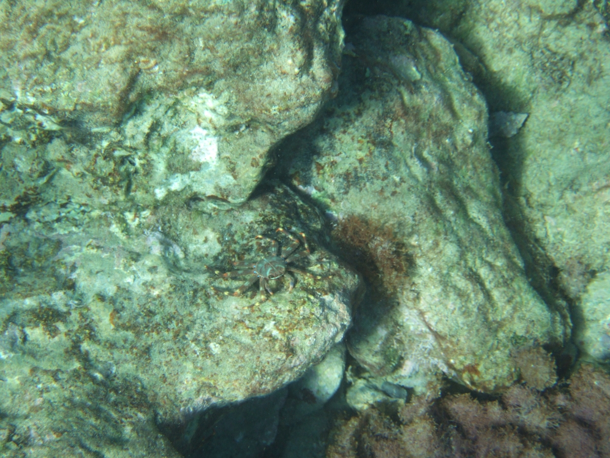DSCF5825.JPG