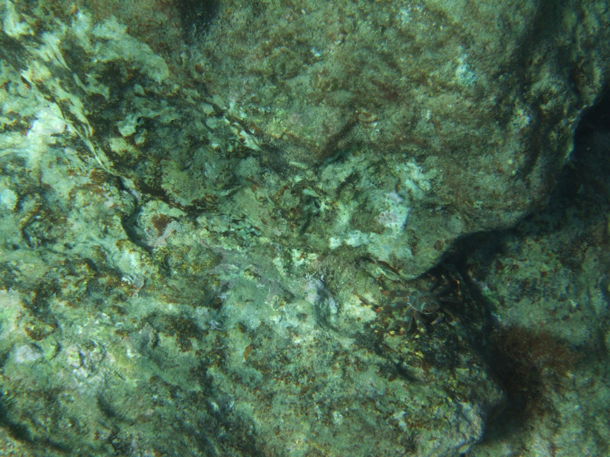 DSCF5826.JPG