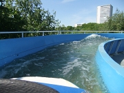 DSCF9445