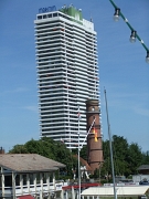DSCF9554