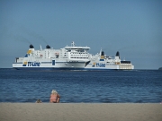 DSCF9565