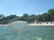 DSCF9960