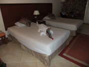 DSCF3878