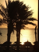 DSCF3957