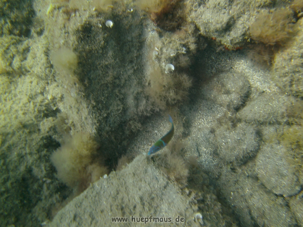 PICT0028.JPG