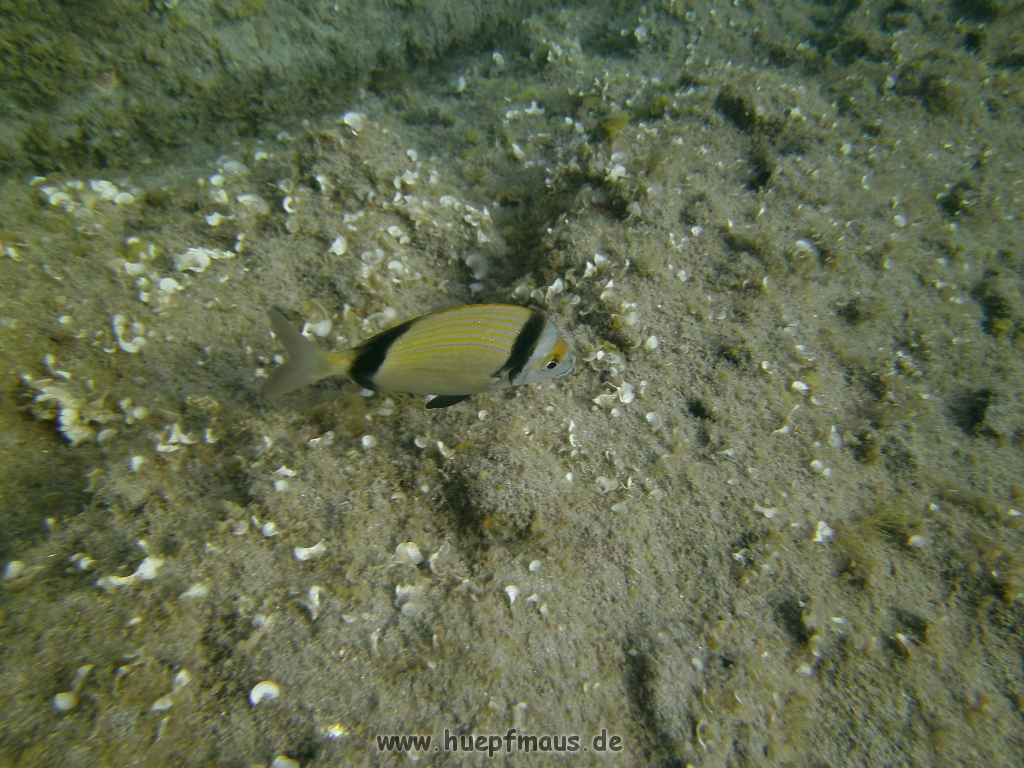 PICT0138.JPG