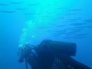 PICT0315