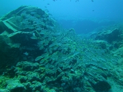 PICT0547