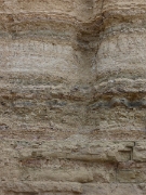 P1020254