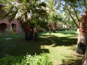 P1010999