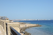 DSCF0483