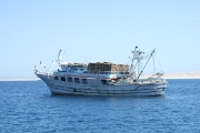 DSCF0489