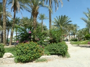 P1020775
