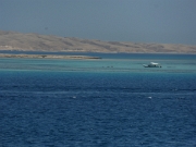 P1020782