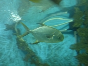 P1020832