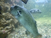 P1020843