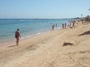 DSCF0434