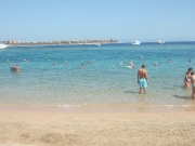 DSCF0435