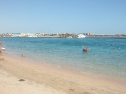 DSCF0437