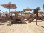 DSCF0439