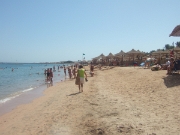 DSCF0440