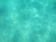 DSCF0445