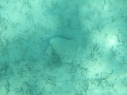 DSCF0447